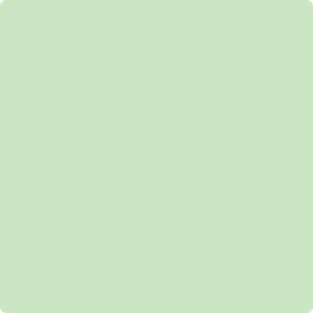 548 Pastel Green