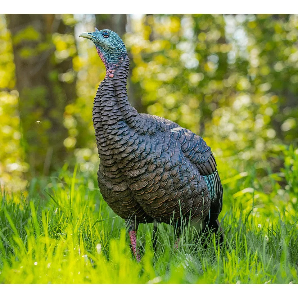 Avian X HDR Hen Turkey Decoy