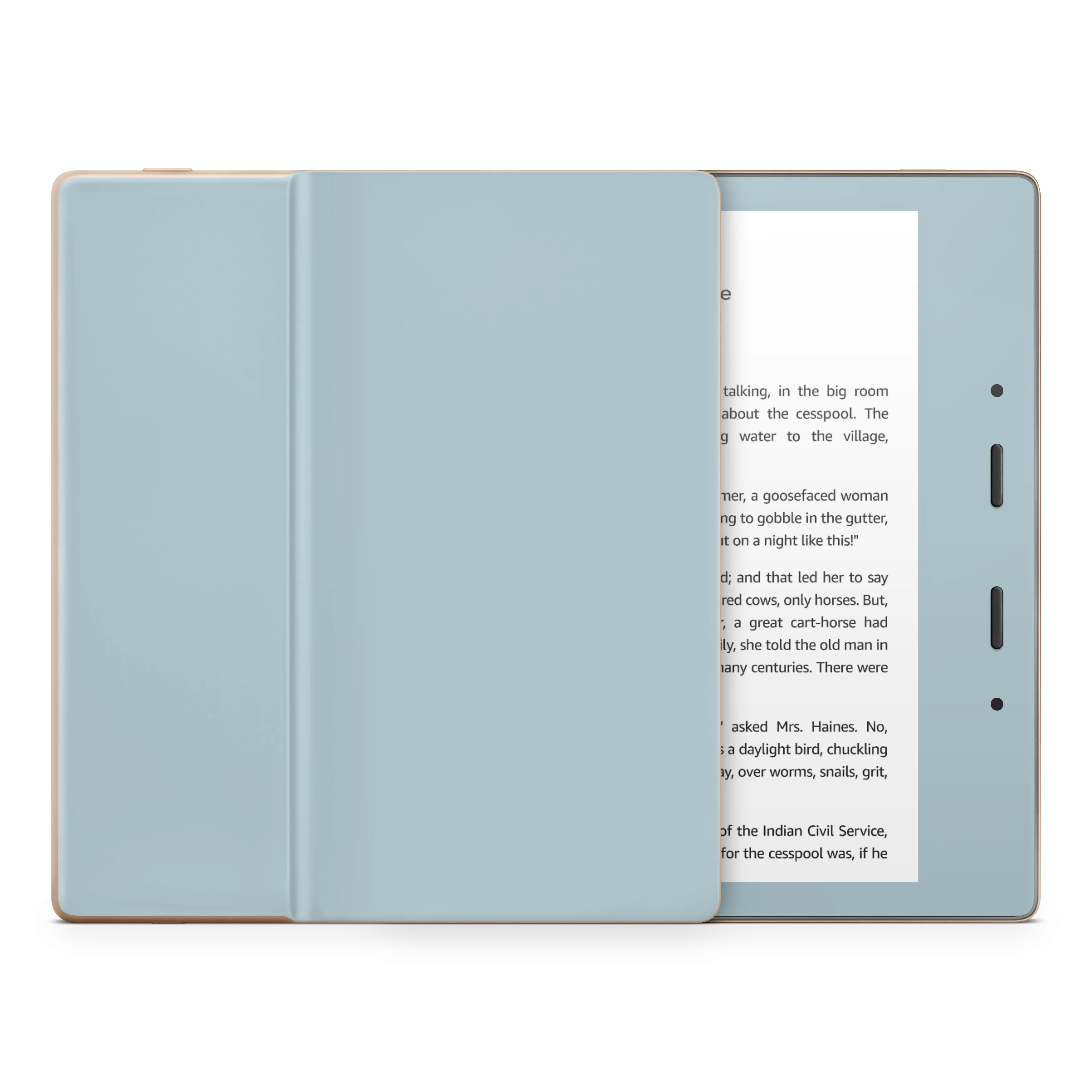 Baby Blue Kindle eReader Skin