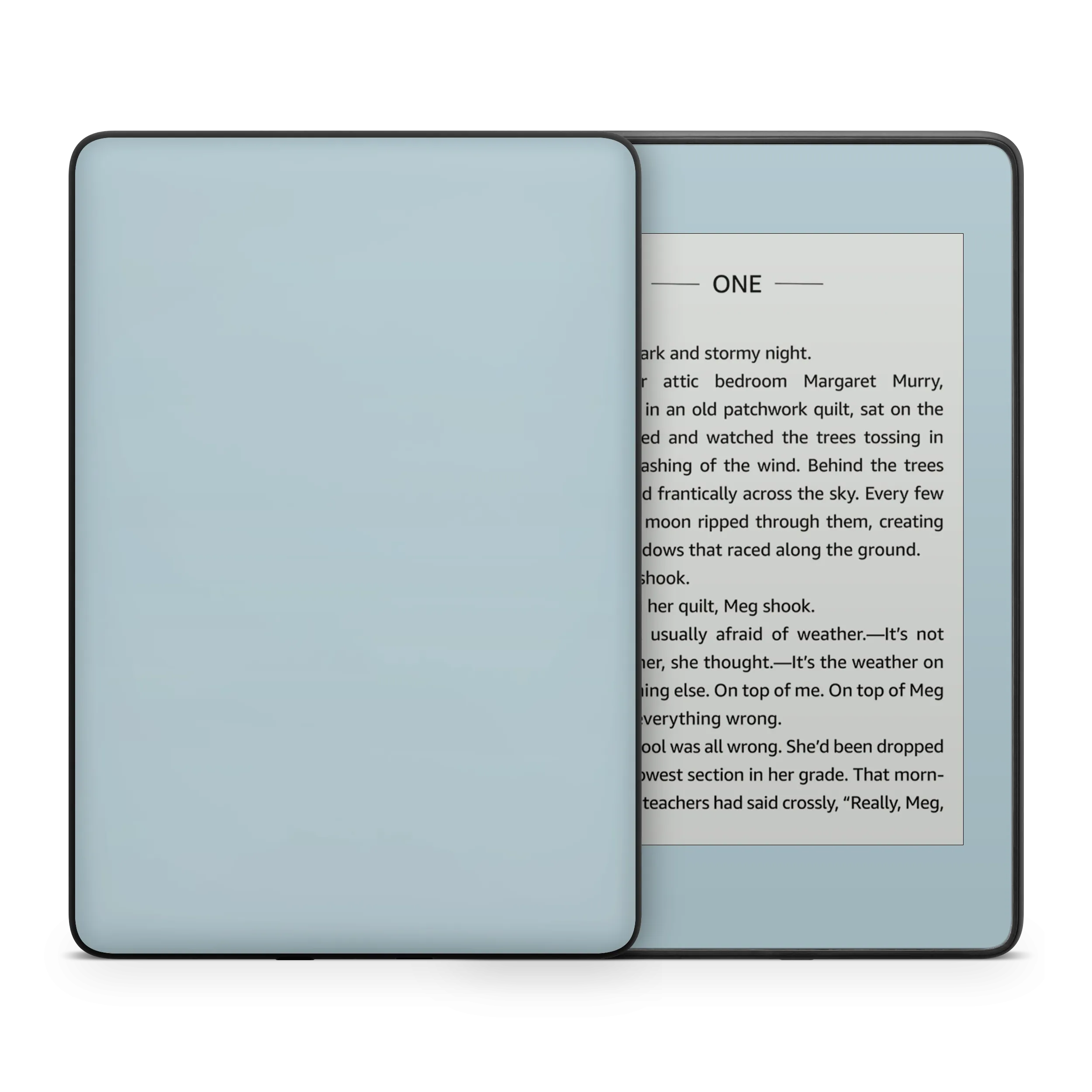 Baby Blue Kindle eReader Skin