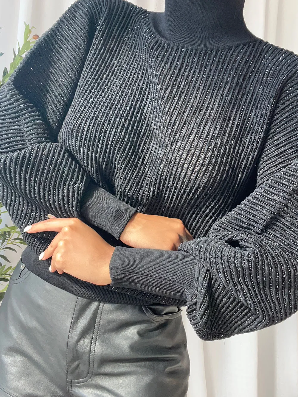 CHO Ribbed-knit Turtleneck Sweater in Black