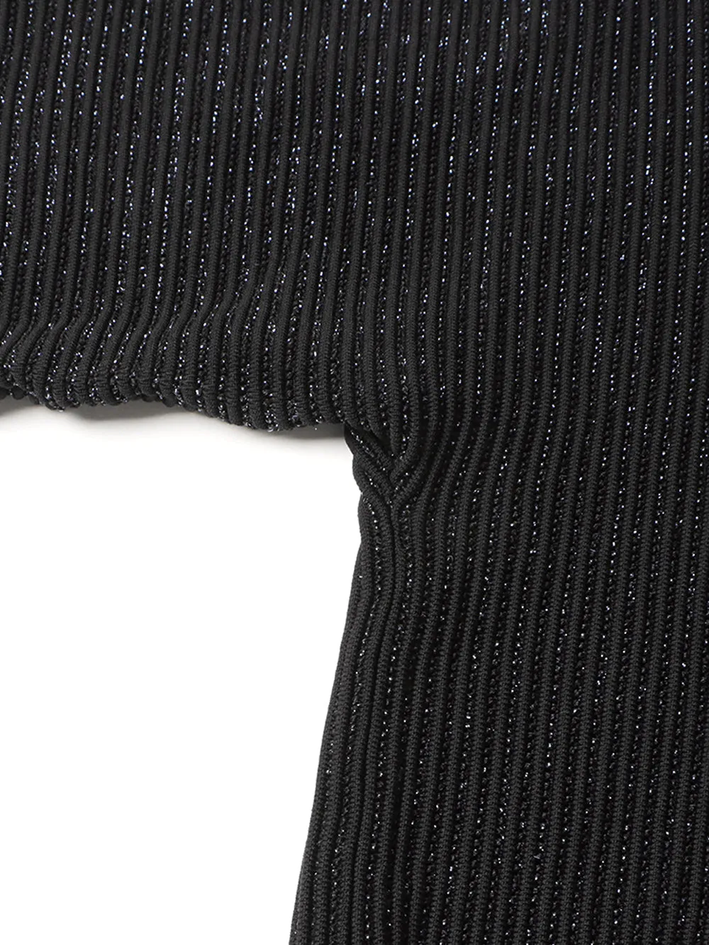 CHO Ribbed-knit Turtleneck Sweater in Black