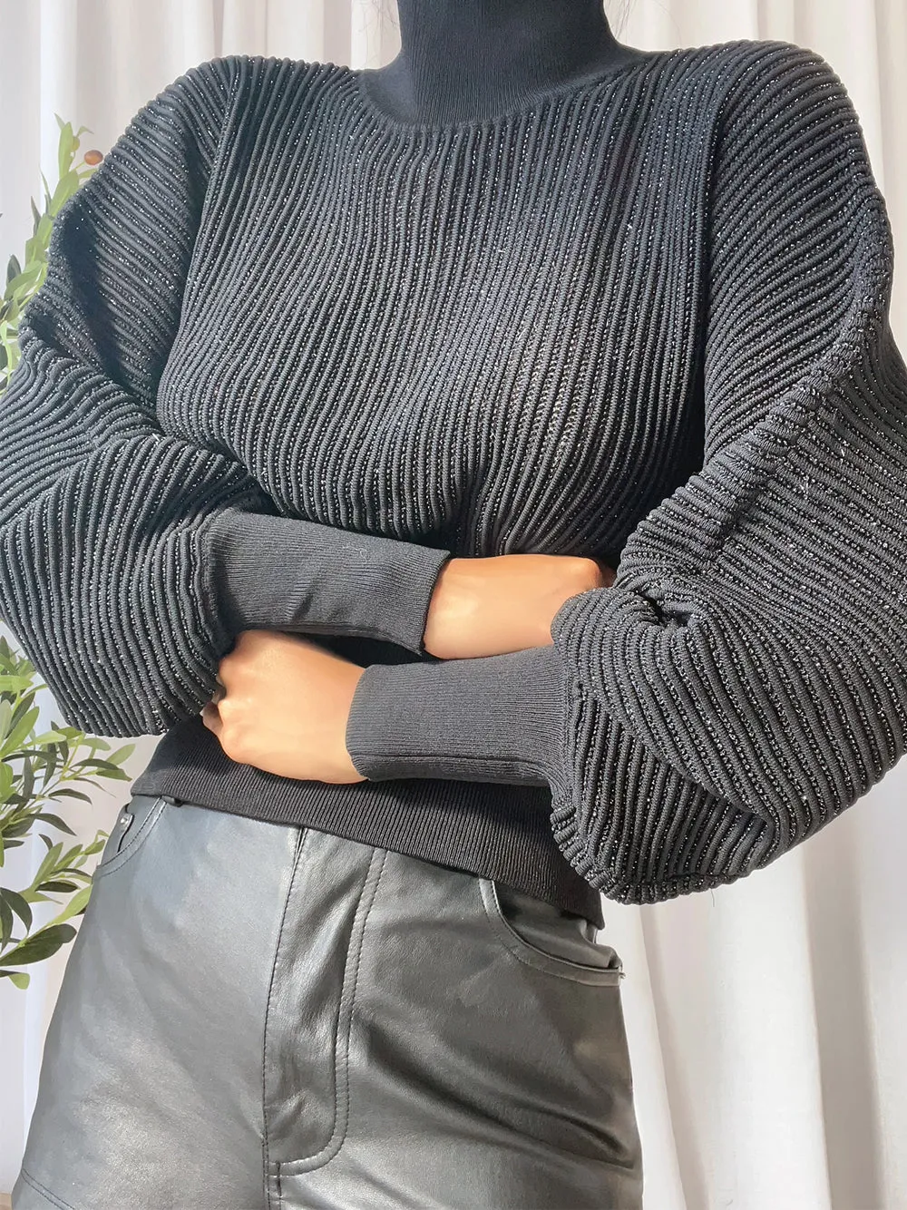 CHO Ribbed-knit Turtleneck Sweater in Black