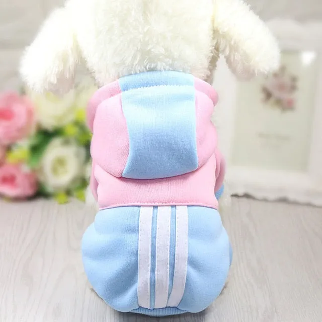 Cute Colorful Winter Jersey Jacket Small Dog Hoodie