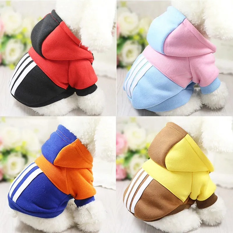 Cute Colorful Winter Jersey Jacket Small Dog Hoodie